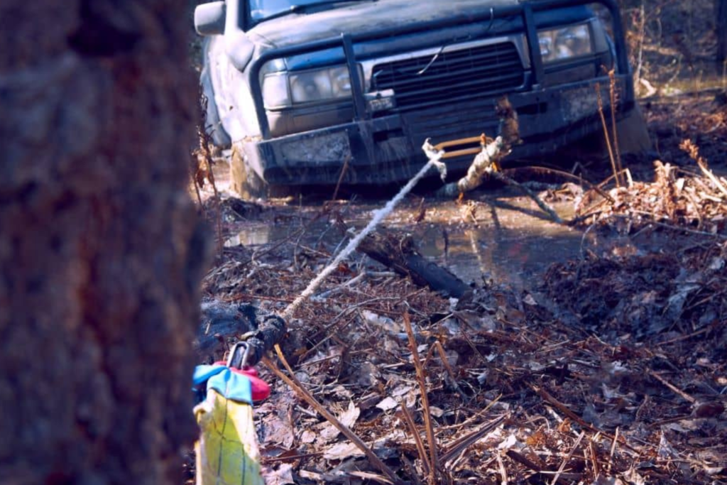 untitled design 2026 01 20t155633.309